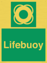 lifebuoy-with-symbol~